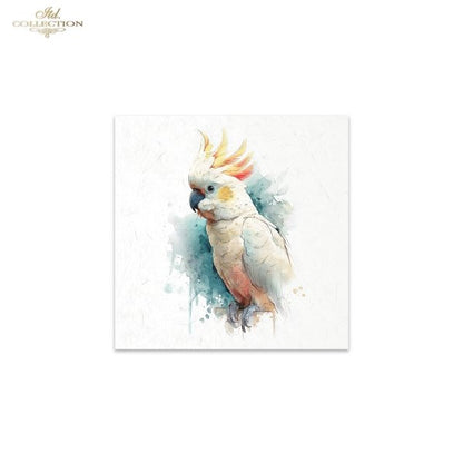Decoupage Rice Paper Mini Set - Tropical Birds