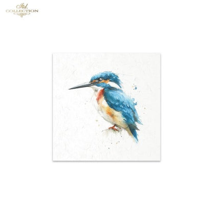 Decoupage Rice Paper Mini Set - Tropical Birds