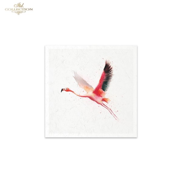 Decoupage Rice Paper Mini Set - Tropical Birds II