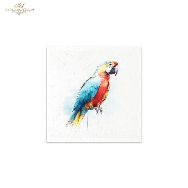 Decoupage Rice Paper Mini Set - Tropical Birds II