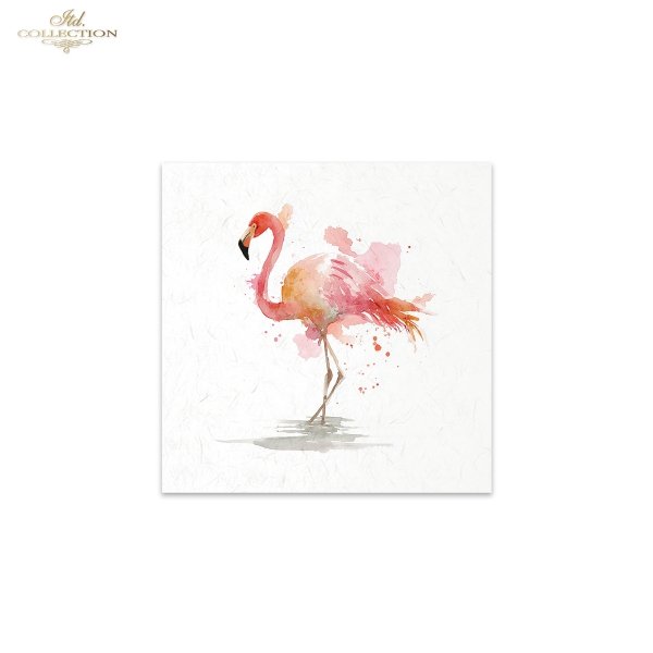 Decoupage Rice Paper Mini Set - Tropical Birds II