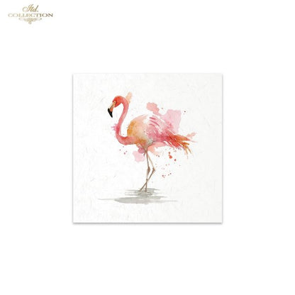 Decoupage Rice Paper Mini Set - Tropical Birds II