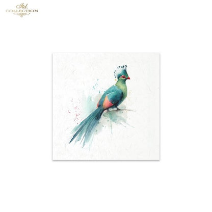 Decoupage Rice Paper Mini Set - Tropical Birds II