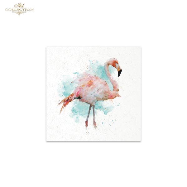 Decoupage Rice Paper Mini Set - Tropical Birds II