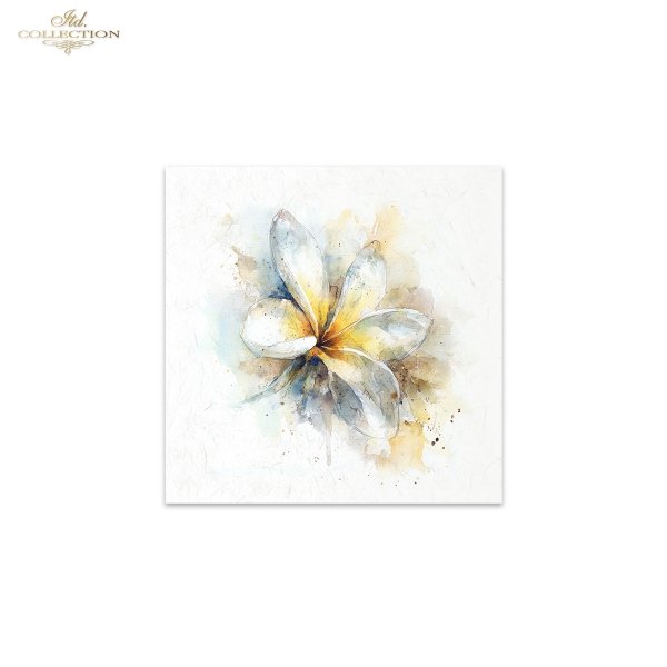 Decoupage Rice Paper Mini Set - Tropical Flowers