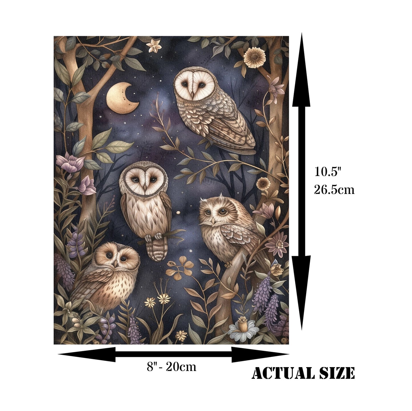 Decoupage Rice Paper Set of 4 - Forest Owls