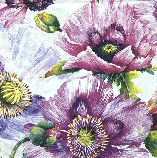 Decoupage napkins 6.5"  (2pcs)- Graceful Poppy Cream