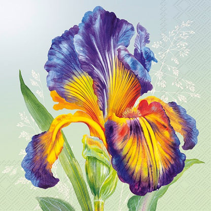 Decoupage Napkin Value Bundle - Signs of Spring