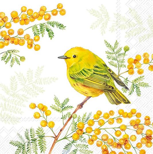 Decoupage napkins 6.5"  (2pcs)- Joy of Spring