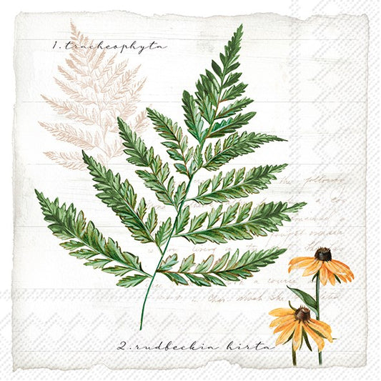 Decoupage napkins 6.5"  (2pcs)- My Little Fern