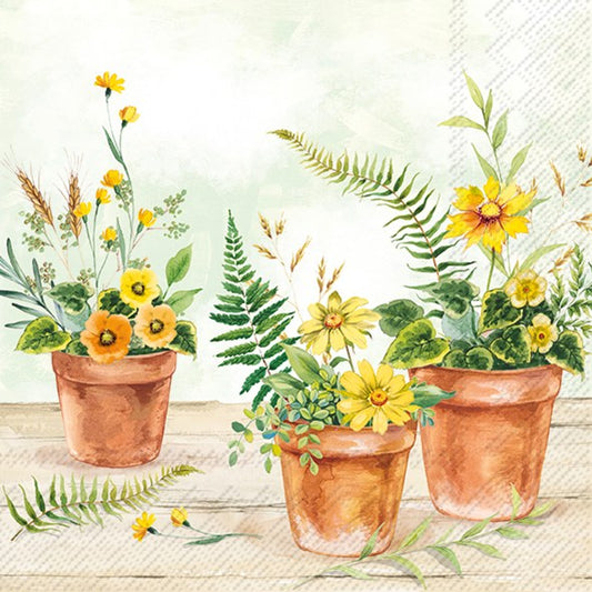 Decoupage napkins 6.5"  (2pcs)- Plant in Pots