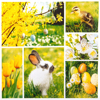 Decoupage Napkins 6.5"  (2pcs)- Easter Collage