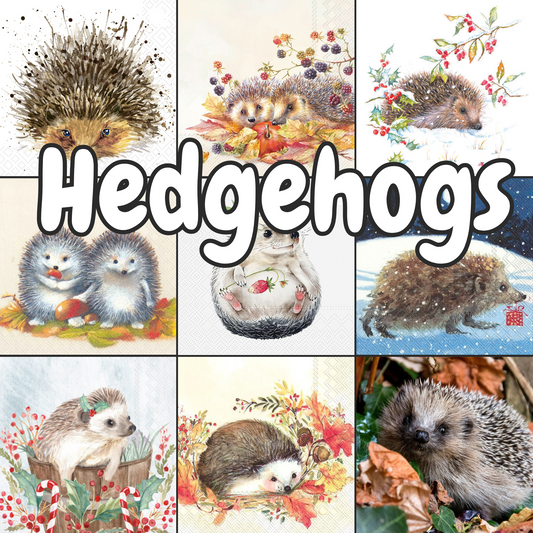 Decoupage Napkin Value Bundle - Hedgehogs