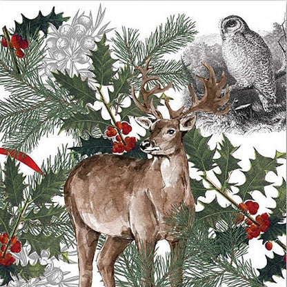 Decorative design with a deer, holly, and owl among greenery on a white background