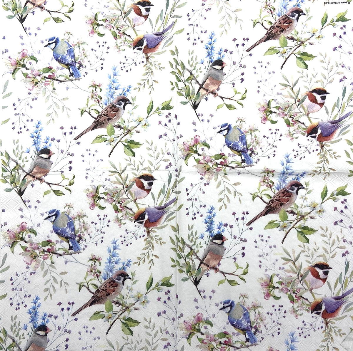 Decoupage Napkins 6.5" (2pcs)- Busy Birds