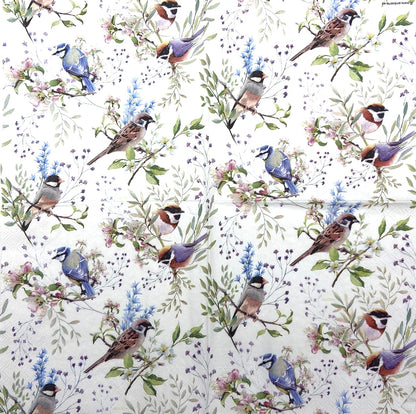 Decoupage Napkins 6.5" (2pcs)- Busy Birds