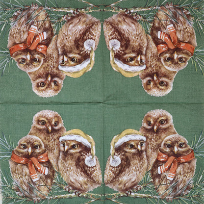 Decoupage Napkins 6.5" - Winter Owls Green