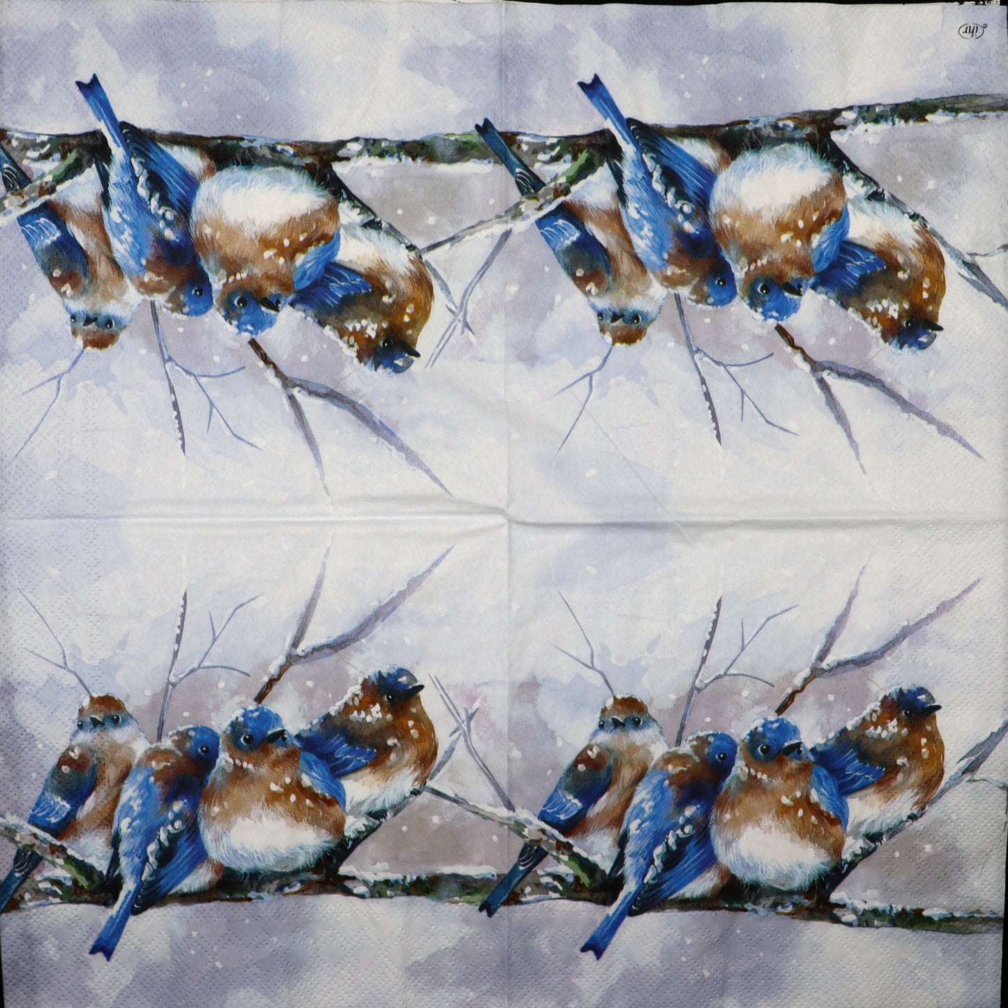 Decoupage napkins 6.5"  (2pcs)- Cuddly Birdies