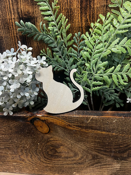 Mini Curly Cat (3pk)