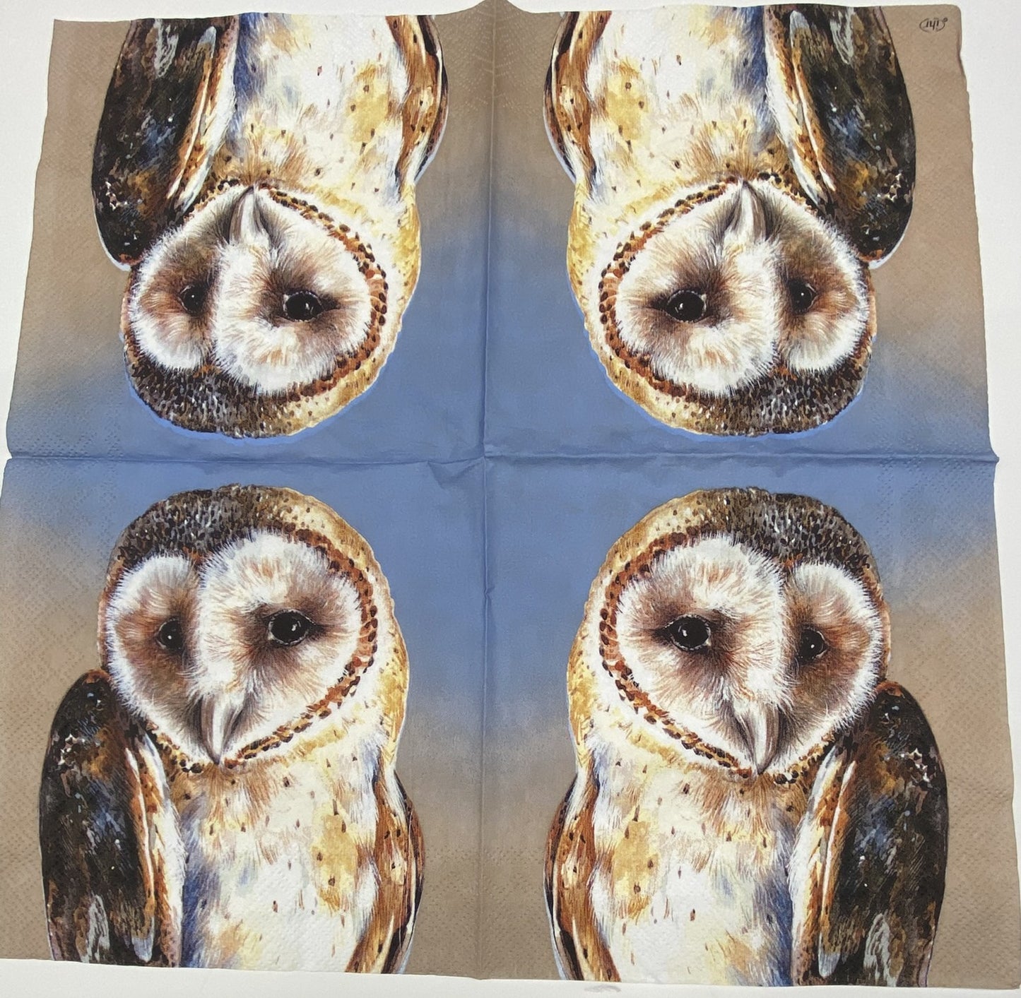 Decoupage Napkins 6.5" (2pcs)- Evie