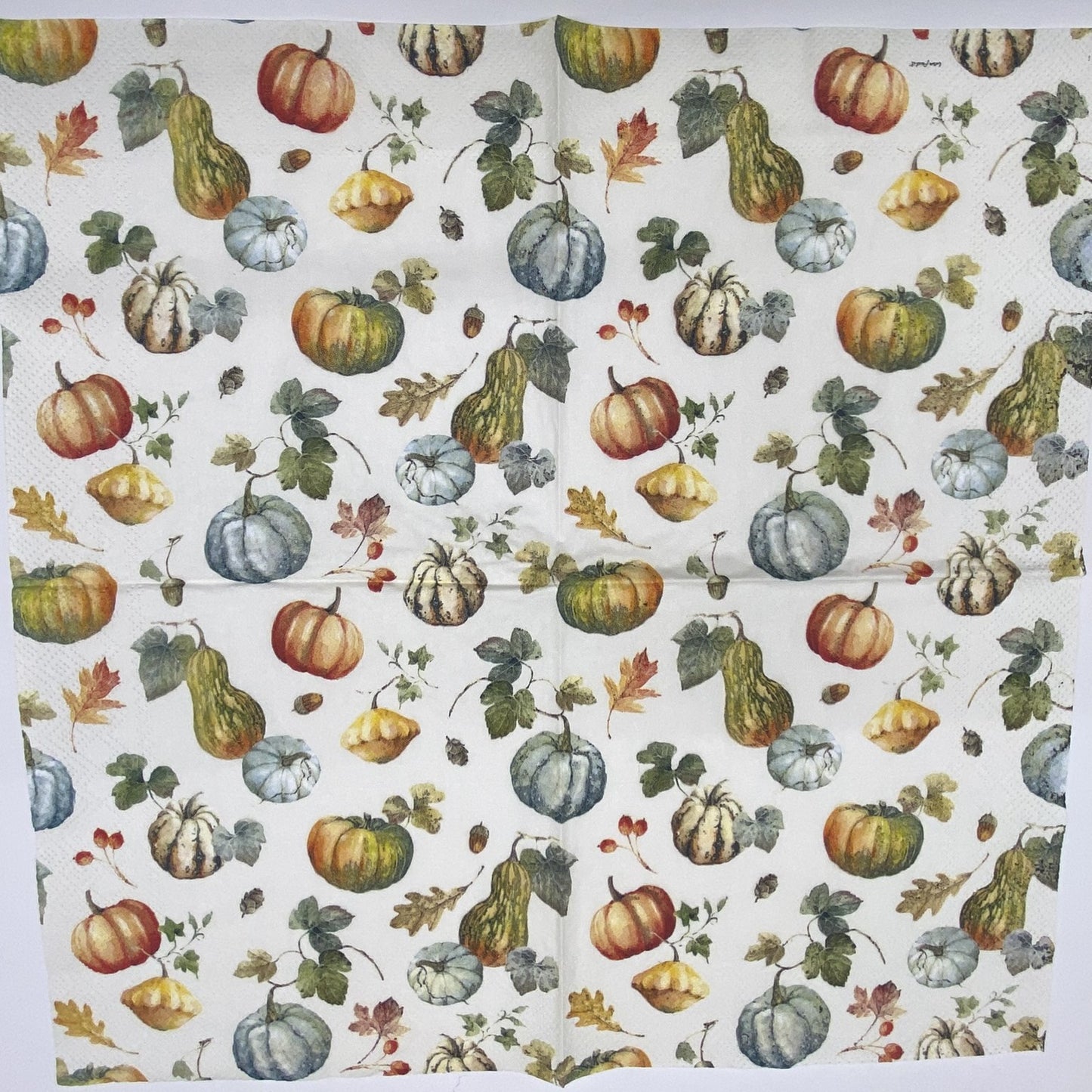 Decoupage Napkins 6.5" (2pcs)- Gourds and Pumpkins