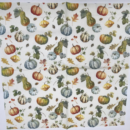 Decoupage Napkins 6.5" (2pcs)- Gourds and Pumpkins
