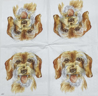 Decoupage Napkins 5" (2pcs)- Fritz