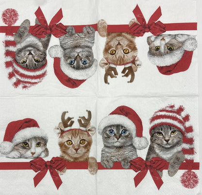 Decoupage Napkins 6.5" (2pcs)- Lovely Cats in Christmas Hats