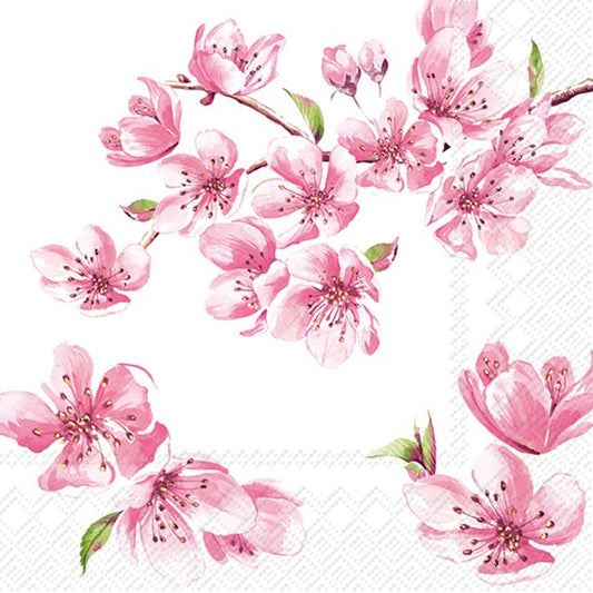 Decoupage napkins 6.5" - Sakura