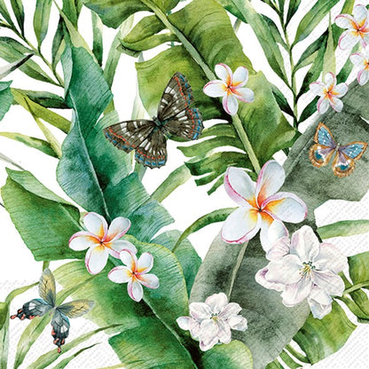 Decoupage Napkin Value Bundle - Butterflies