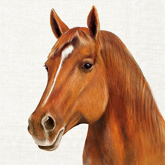 Decoupage napkins 6.5" - Farm Horse