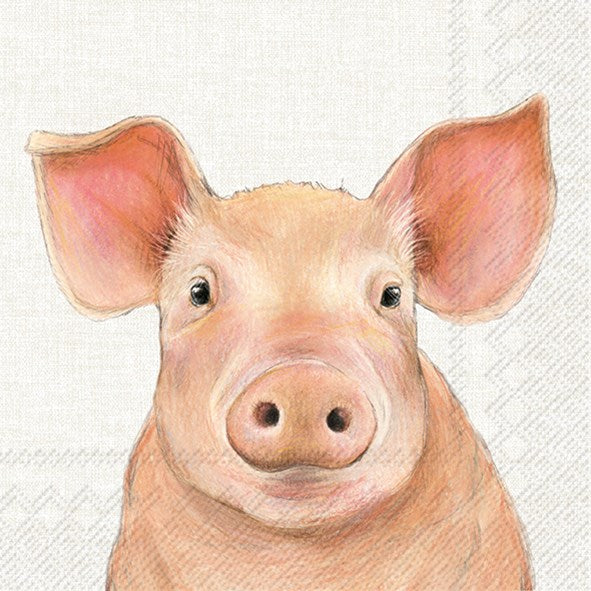 Decoupage napkins 6.5" - Farm Pig