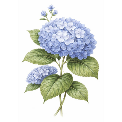 Mini Wet Transfer, Decals for Crafts 3.25" x 5" - Hydrangea