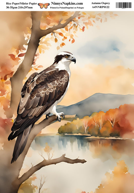 Ninny's Decoupage Rice Paper - Autumn Osprey