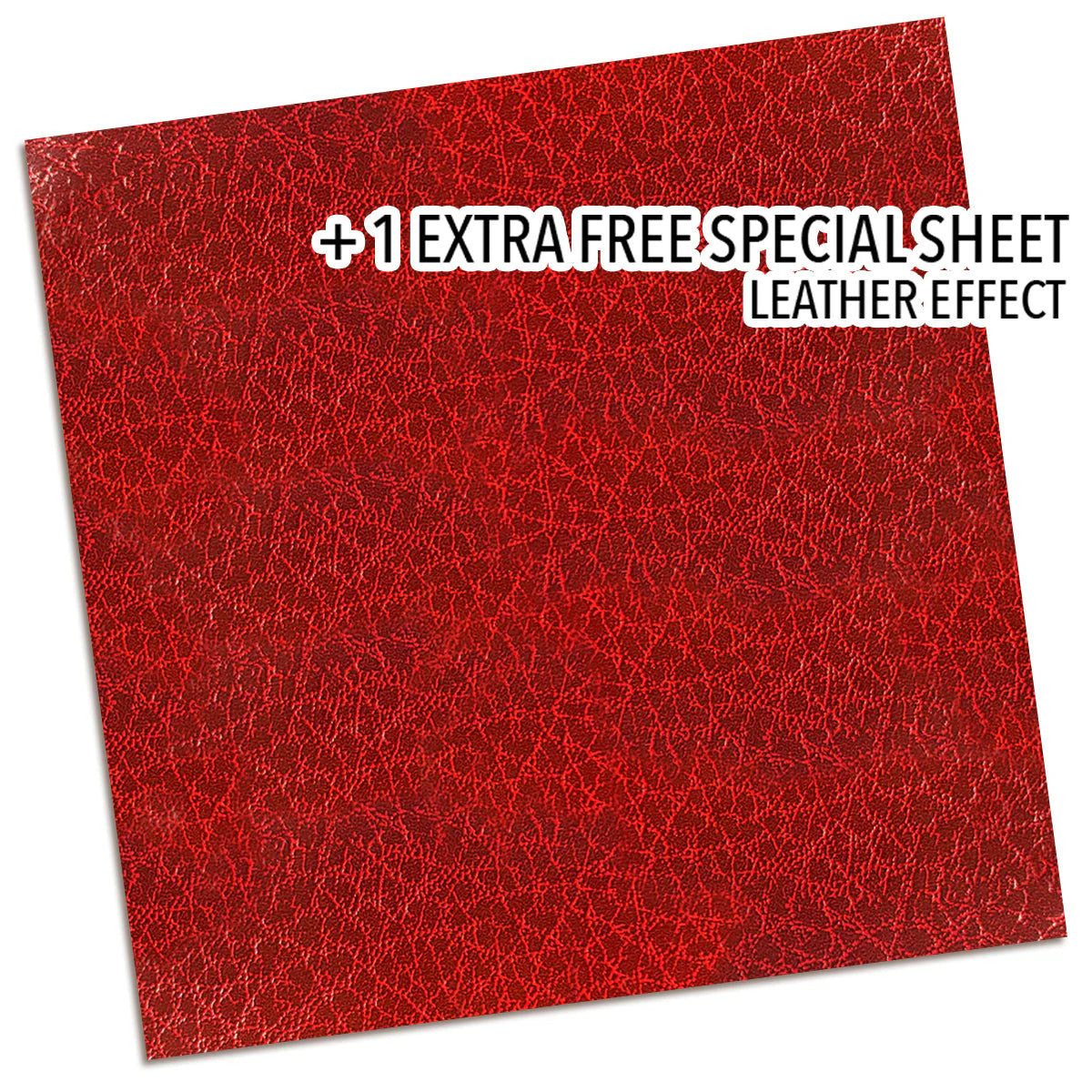 Patterns Pad 12"x12" 8/Pkg - Book Lovers