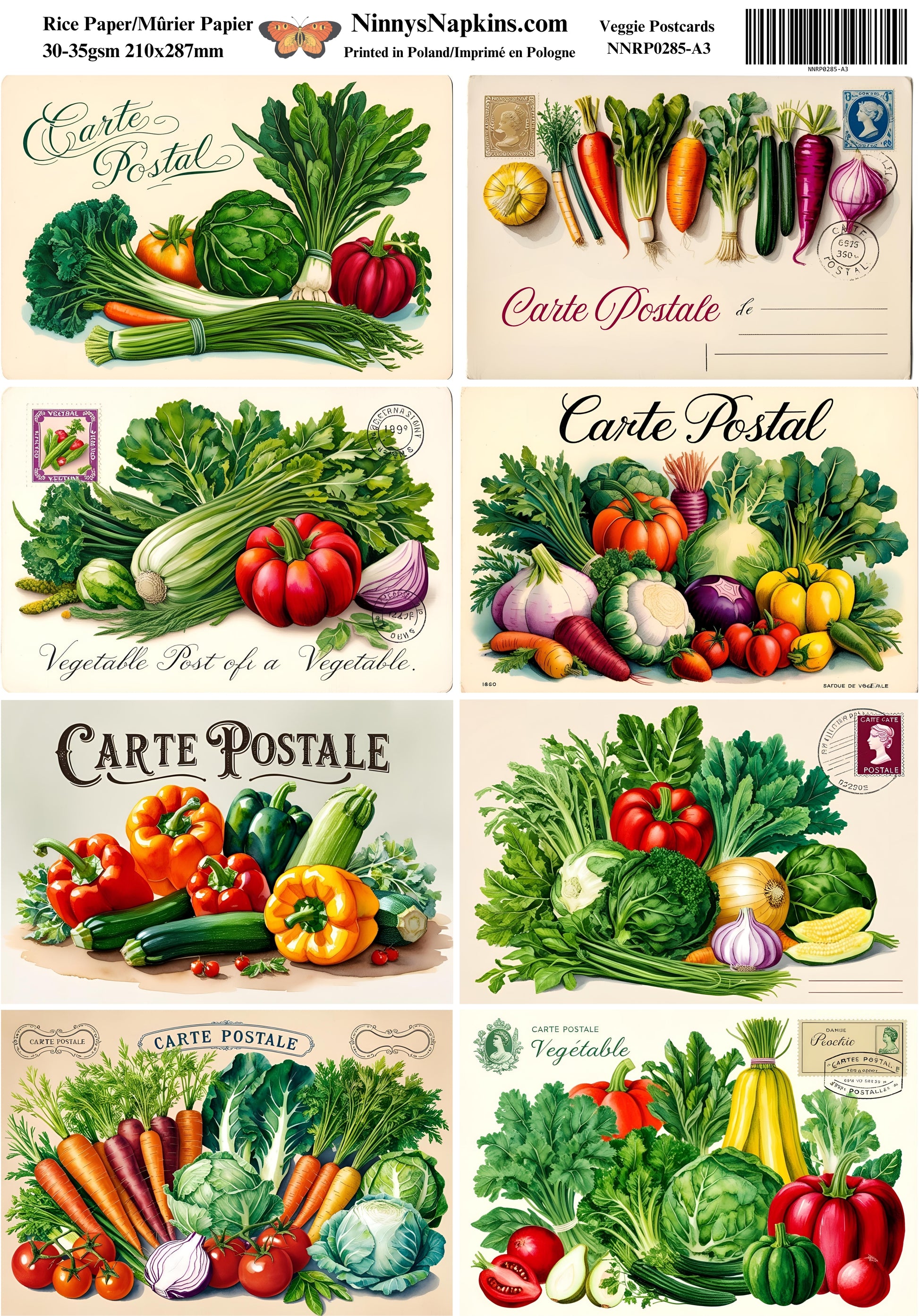 Rice Paper - Veggie Postcards