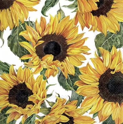 Decoupage Napkins 6.5" - Sunflowers Blossoming
