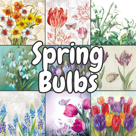 Decoupage Napkins Value Bundle - Spring Bulbs
