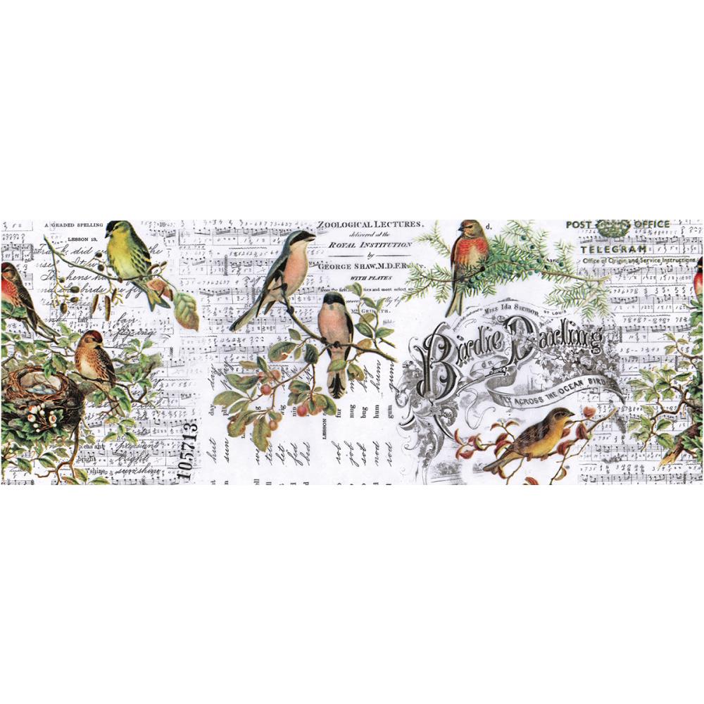 Tim Holtz Idea-Ology Collage Paper - Aviary