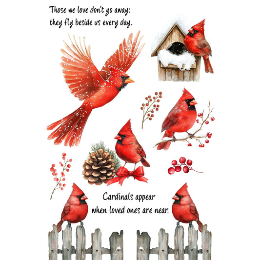 Wet Transfers A4- Cardinals Appear