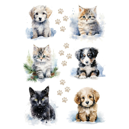 Wet Transfers A4- Cute Baby Pets