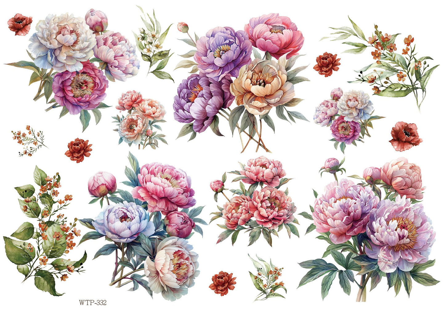 Wet Transfers A4- Plenty of Peonies