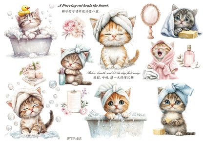 Wet Transfers A4- Pampered Kittens