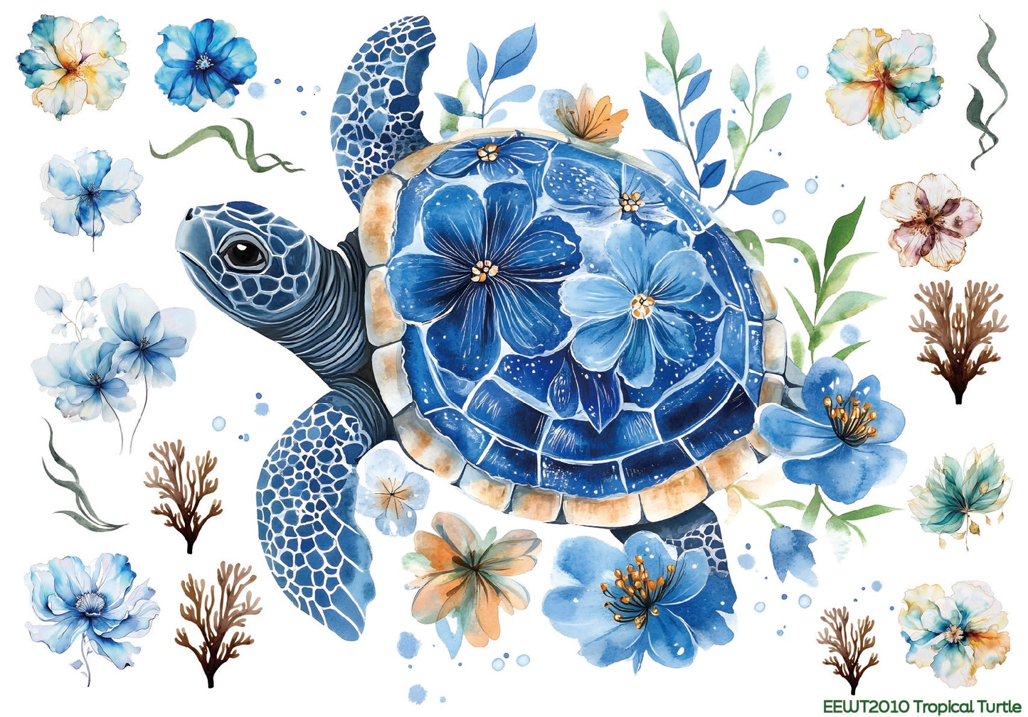 Wet Transfer, Decals for Crafts- Tropical Turtle