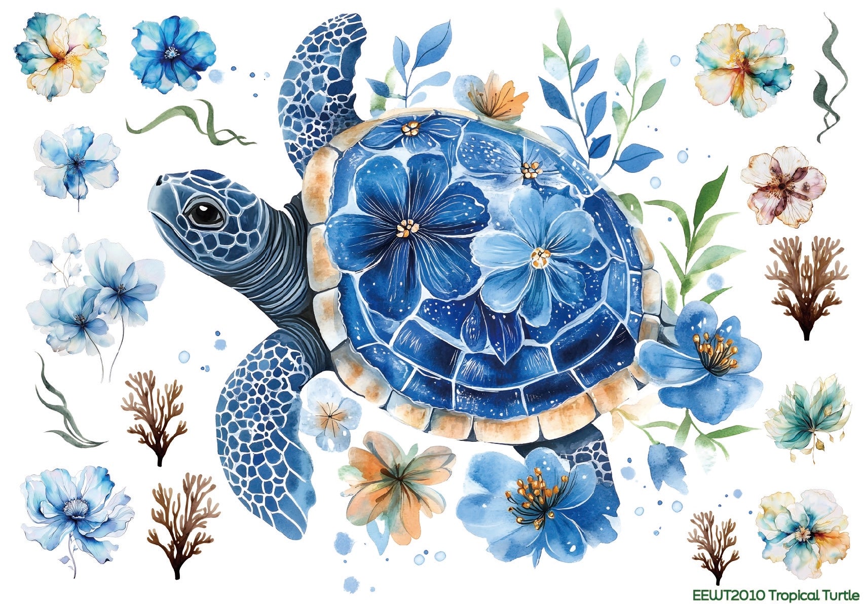 Wet Transfer, Decals for Crafts- Tropical Turtle