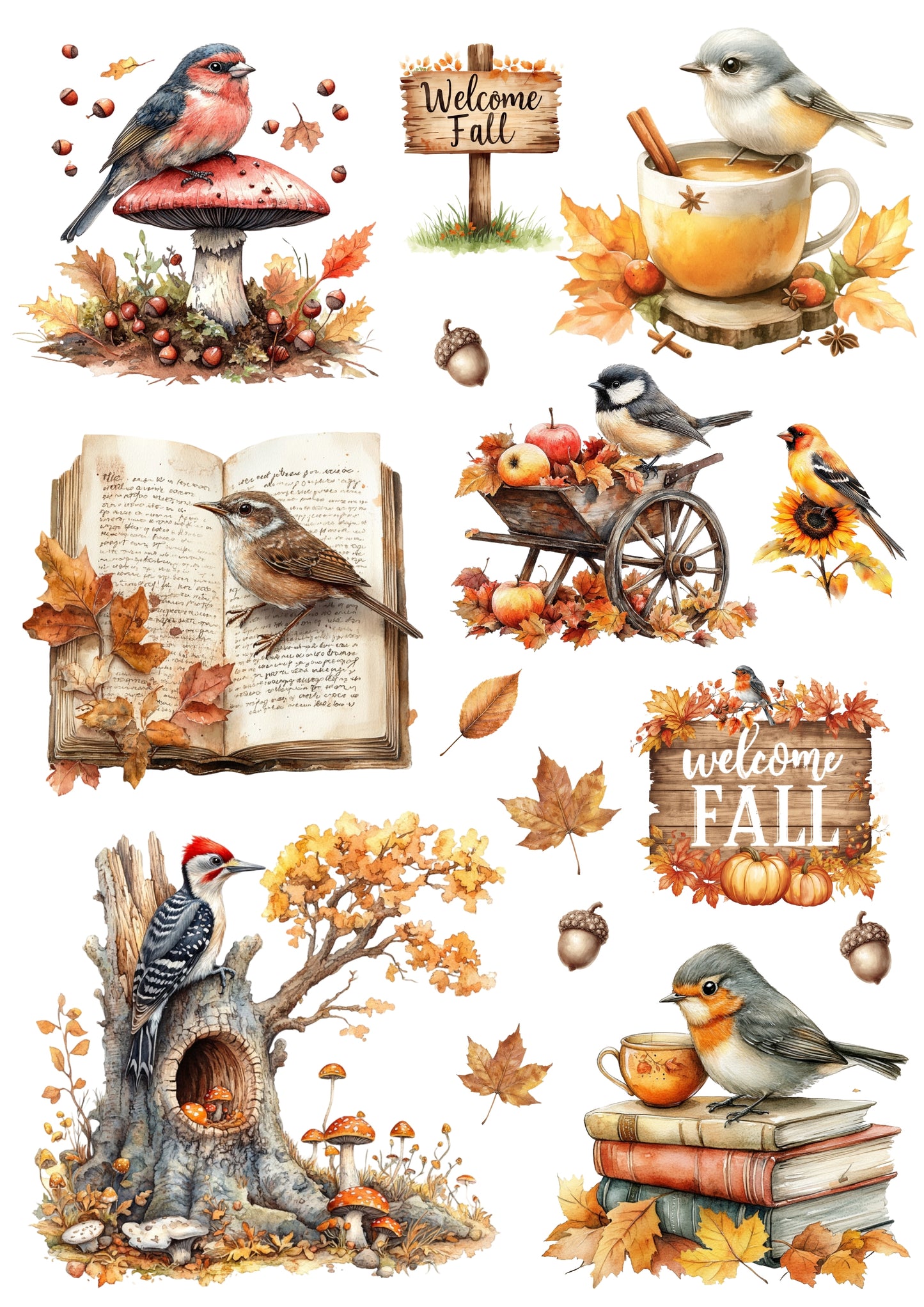 Wet Transfers A4- Autumn Birds