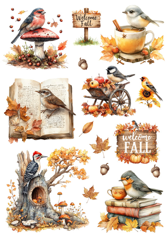 Wet Transfers A4- Autumn Birds