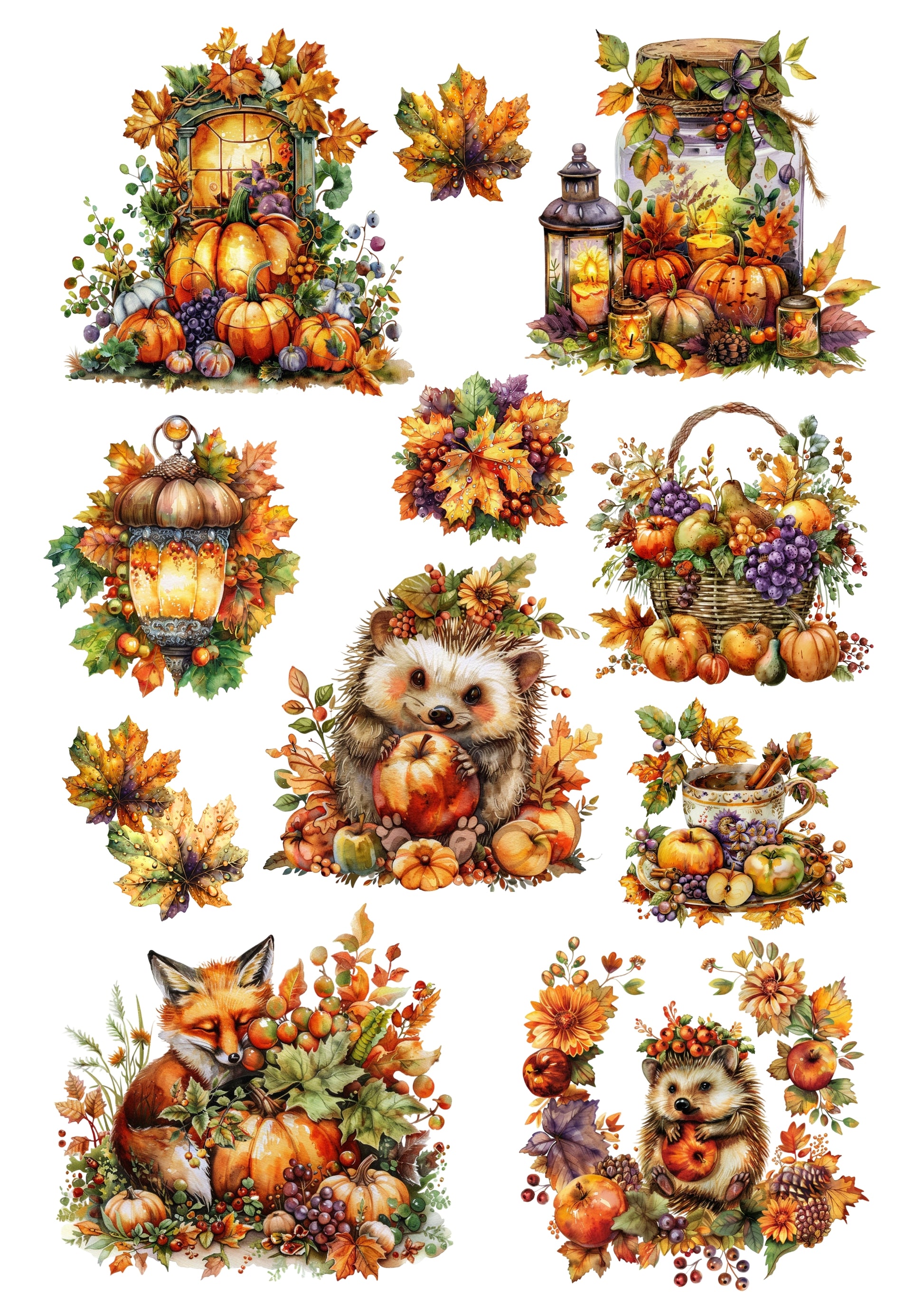 Wet Transfers A4- Autumn Hedgehogs