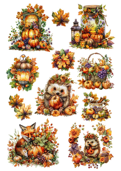Wet Transfers A4- Autumn Hedgehogs