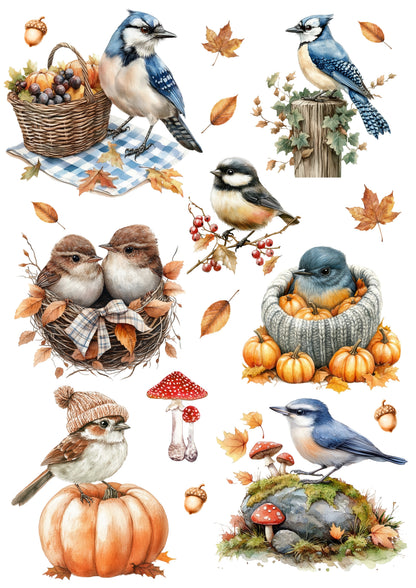 Wet Transfers A4- Autumn Jays